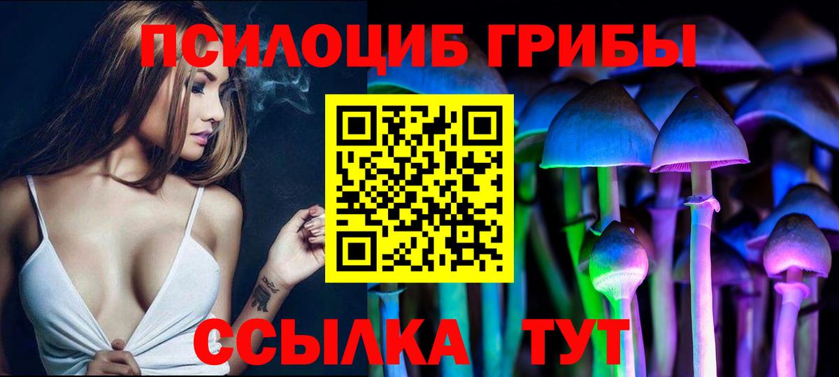 Псилоцибиновые грибы прущие грибы Сосновый Бор